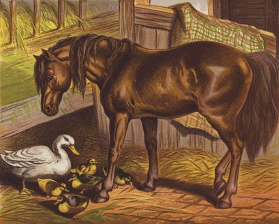 Pony by English School